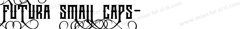 futura small caps字体转换